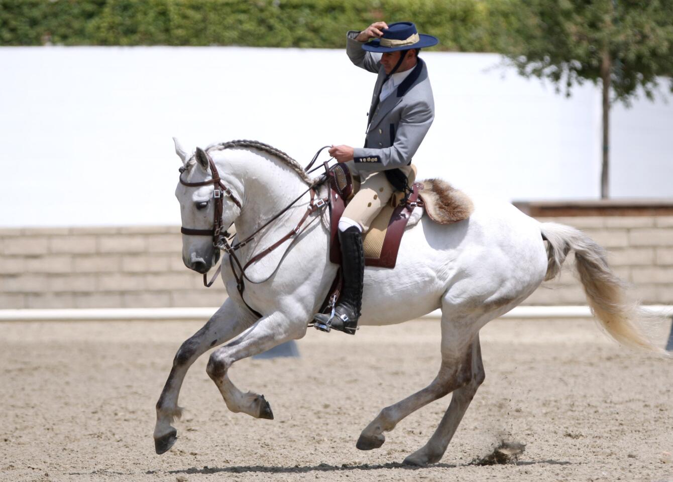 Carlos Carneiro participates in the working equitation, working dressage level 5 competition at the 2016 Fiesta Charity Horse Show, at the Los Angeles Equestrian Center in Burbank on Friday, April 29, 2016. Carneiro, according to his website, is a classical dressage trainer and instructor, horse owner and equestrian manager of a stable of 35 horses in Lousada, Portugal.