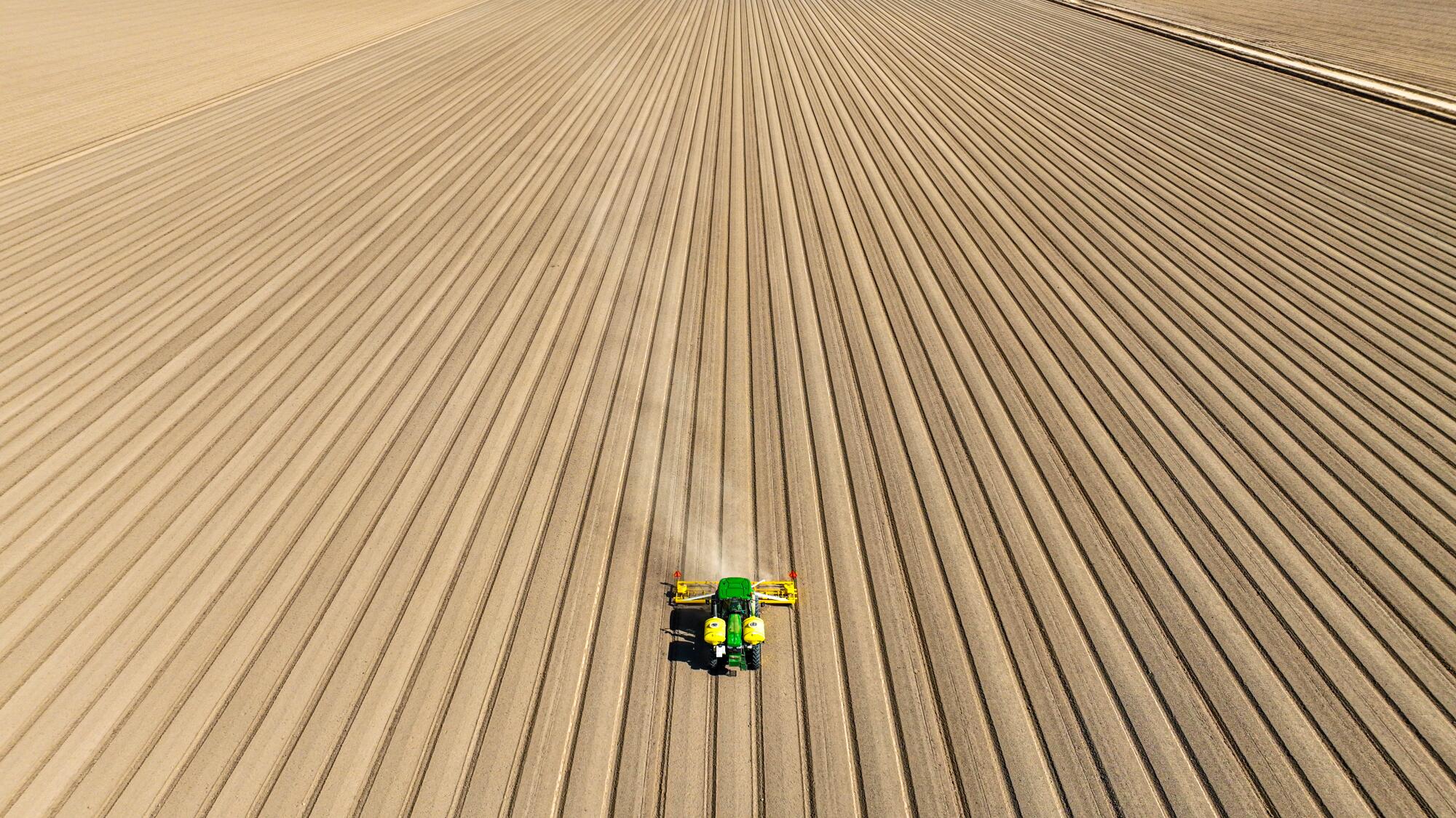 A tractor pulls a mulcher across a Vessey & Co. farm field in September, preparing beds to plant leafy greens.