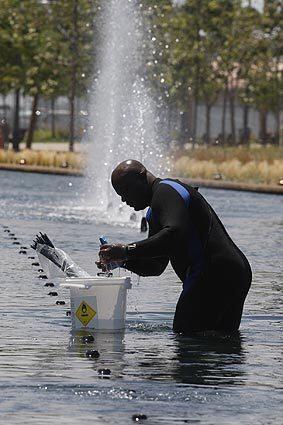 Technician Joseph Bellamy puts the finishing touches on the giant fountain at the entrance to the cruise terminals.