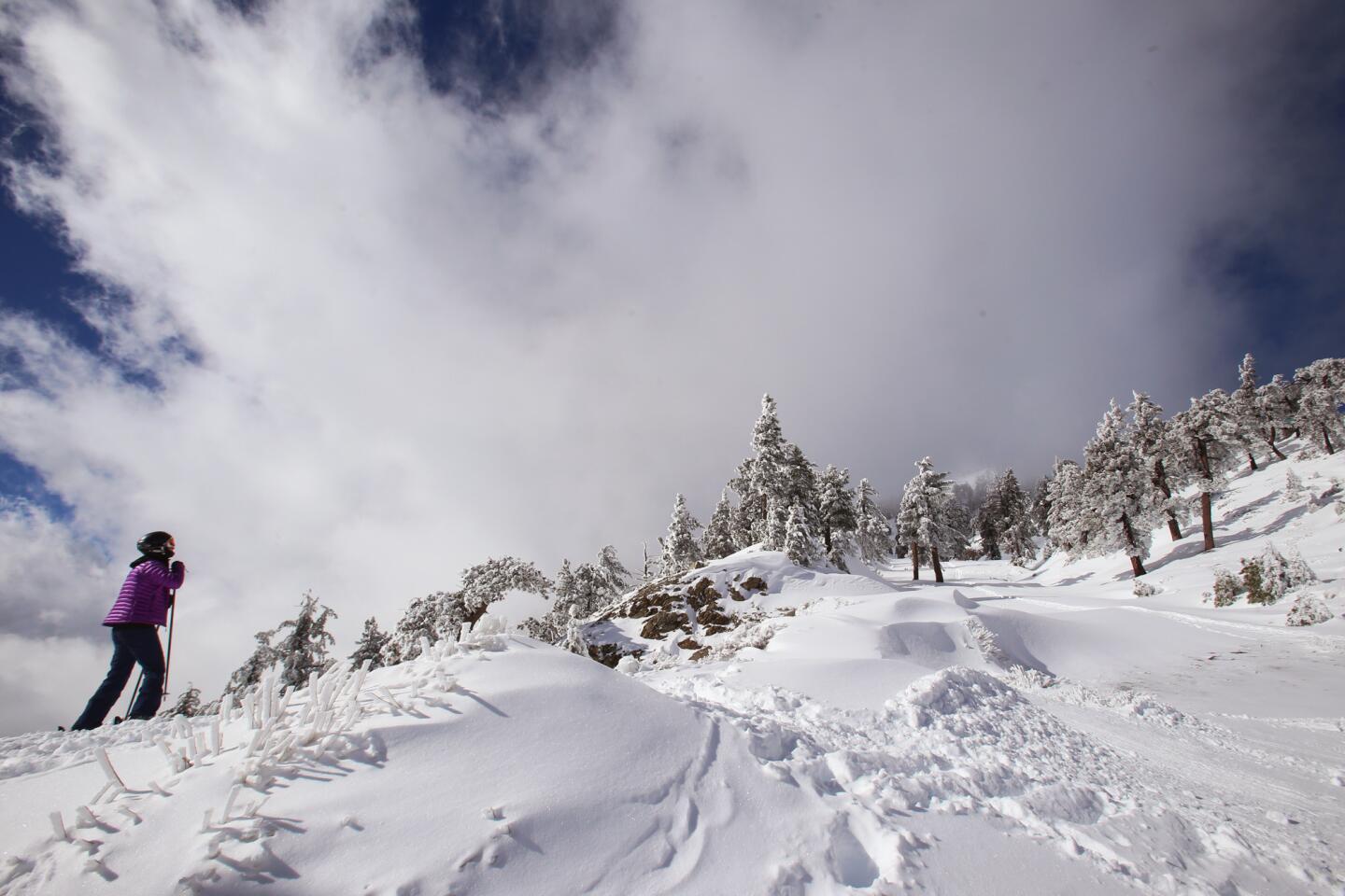 A skier looks up toward fresh snow from a recent El Niño storm at the Mt. Baldy Ski Area on Jan. 7.