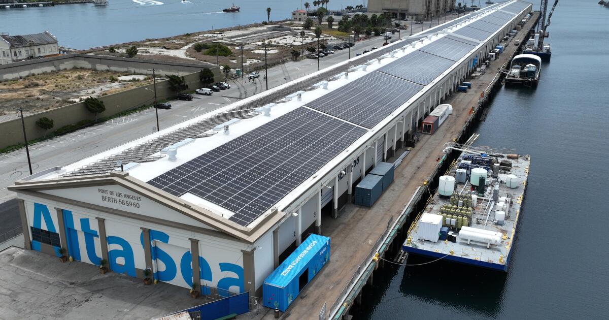 Ocean technology hub AltaSea blooms on San Pedro waterfront Ocean technology hub AltaSea blooms on San Pedro waterfront