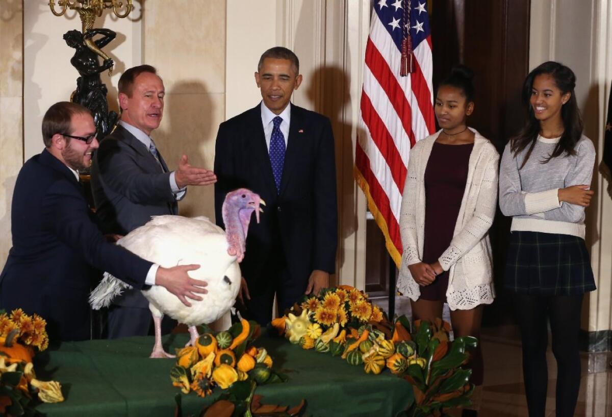 President Obama and his daughters at the controversial turkey-pardoning event on Nov. 26.