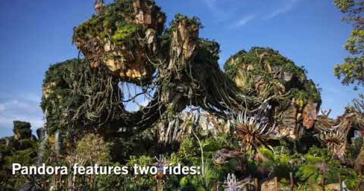 90 seconds: 4 stories you can’t miss