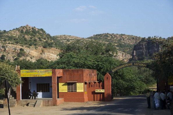 Ranthambore National Park