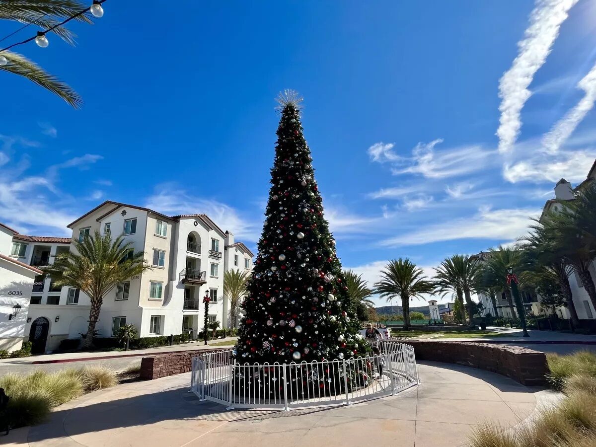 The tree at The Village at Pacific Highlands Ranch.