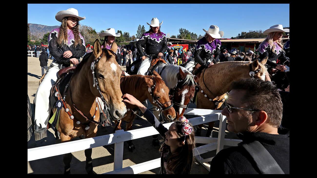 Photo Gallery: 29th annual Equestfest held at L.A. Equestrian Center in Burbank