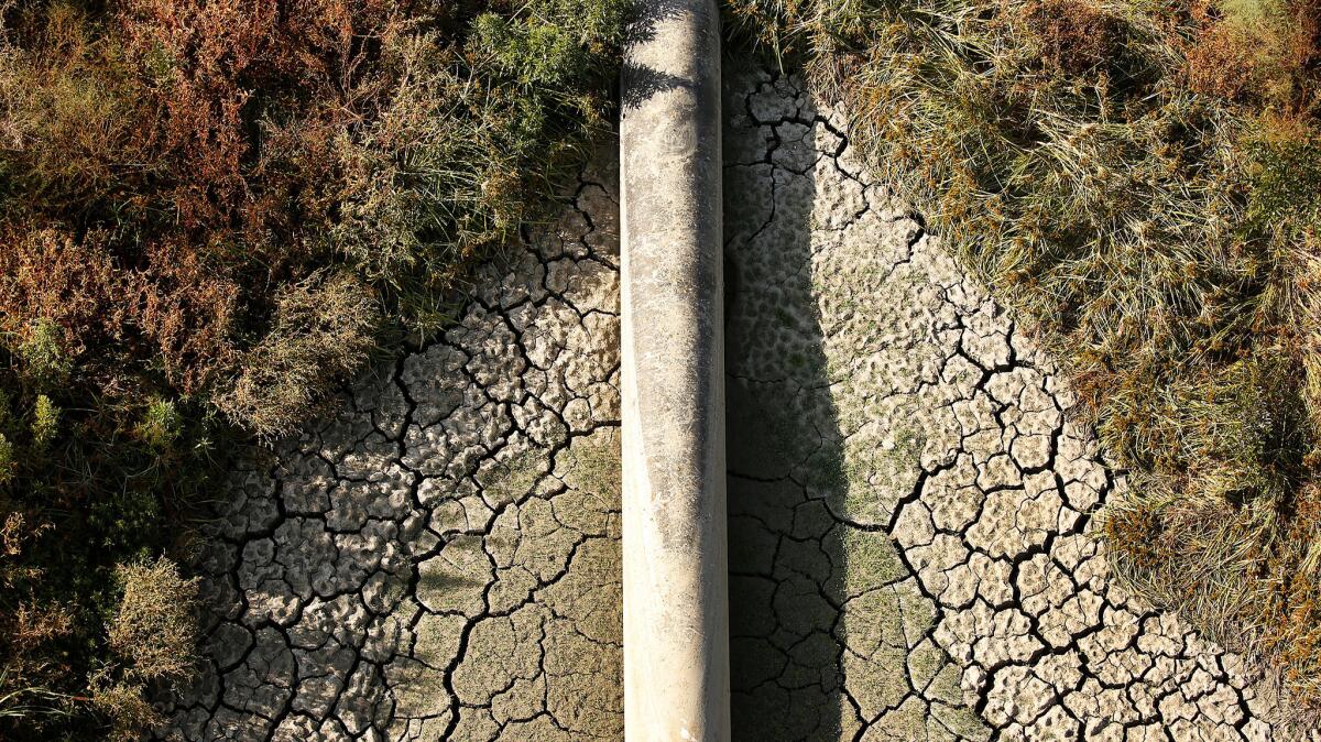 Weeds and cracked earth surround a pipe across what's left of Lake Cachuma that transports water from a floating pumping station to the intake tower.