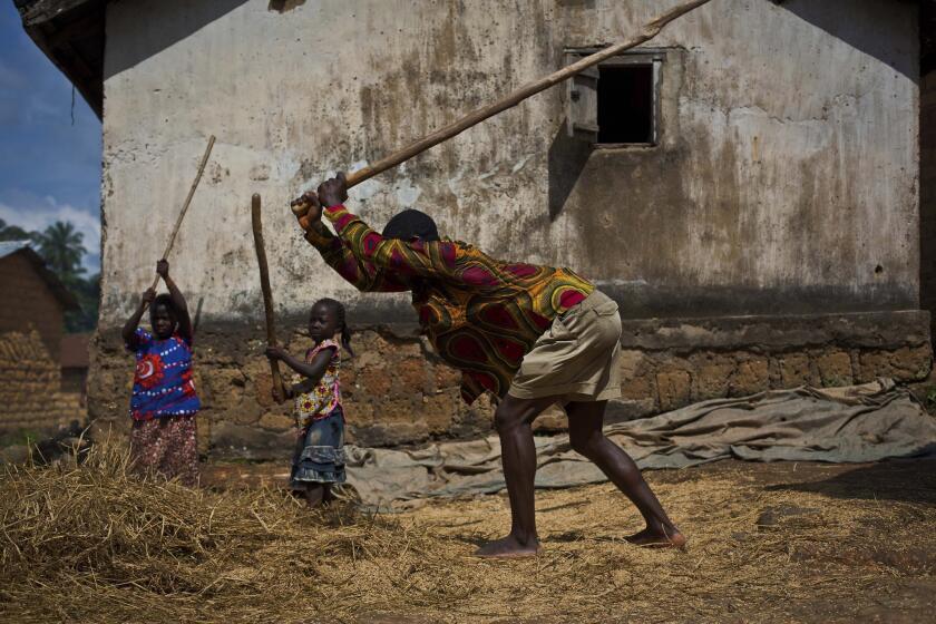 Villagers thresh rice in the Guinean village of Meliandou, believed to be the Ebola outbreak's ground zero.