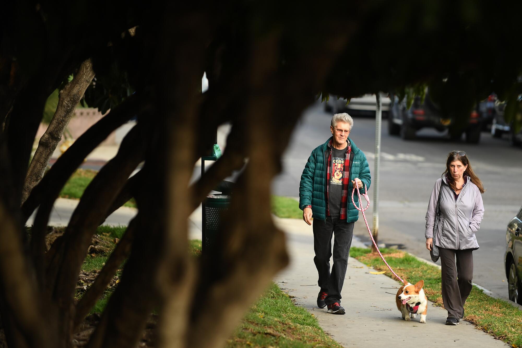 Ted and Sandy Rogers walk their new corgi in Hollywood on a winter afternoon.