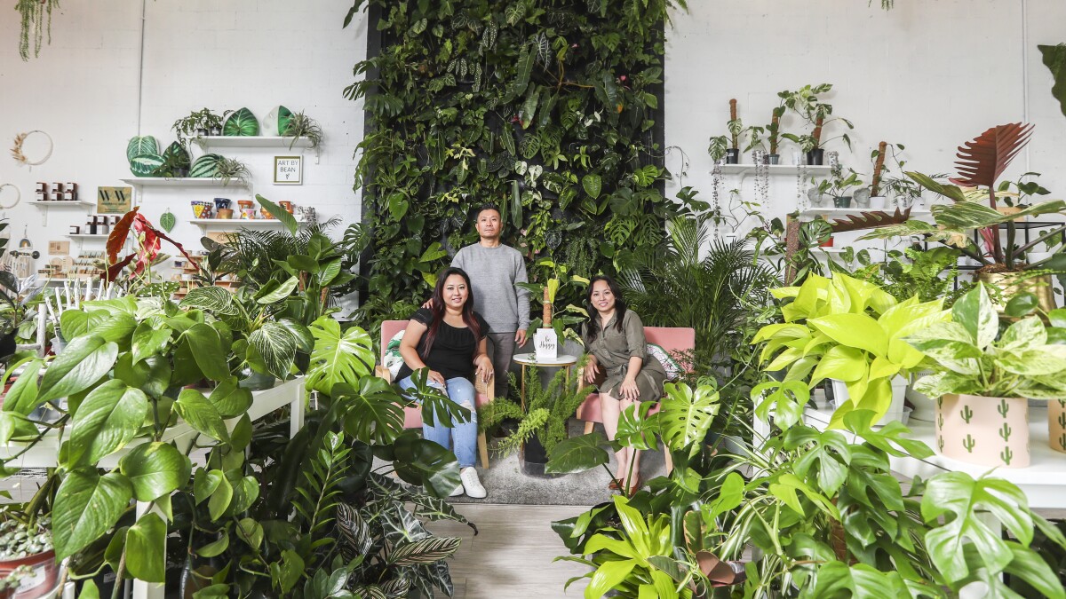 How a ‘crazy plant lady’ went from designing fairy gardens to owning two plant shops