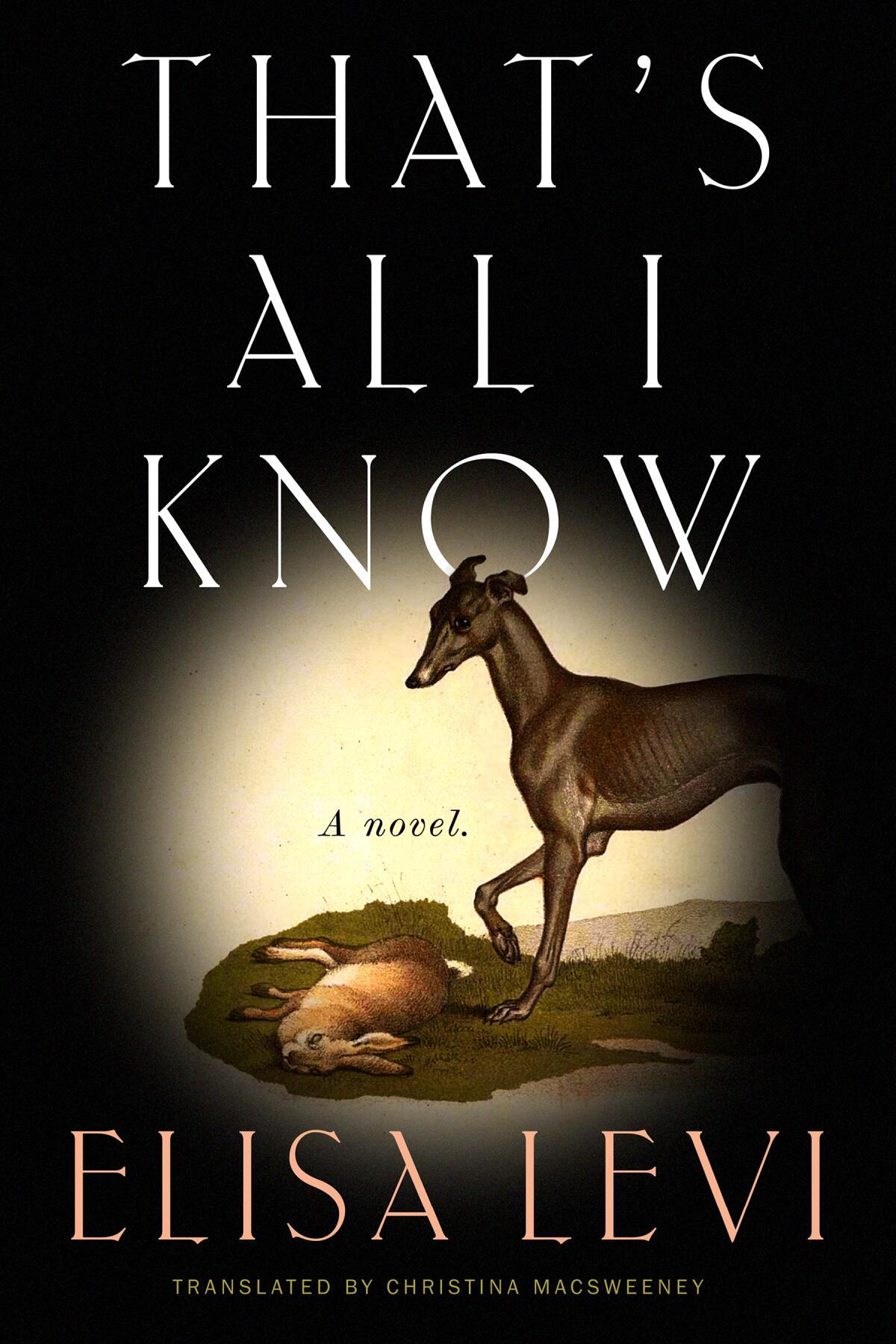A Novel" by Elisa Levi