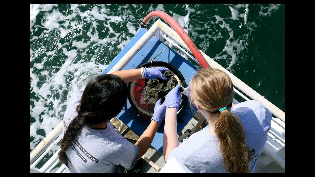 Photo Gallery Clark Magnet students collect sediment samples from the mouth of the L.A. River for heavy metals testing