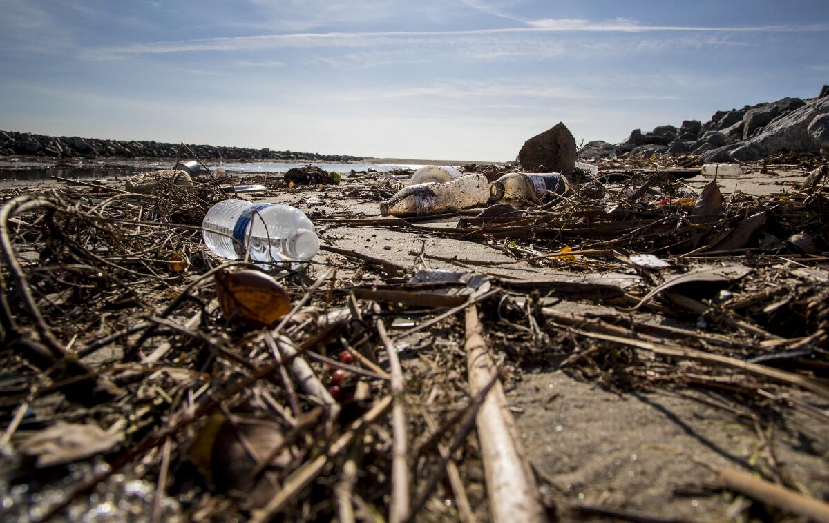 Plastic trash strewn about a coastline