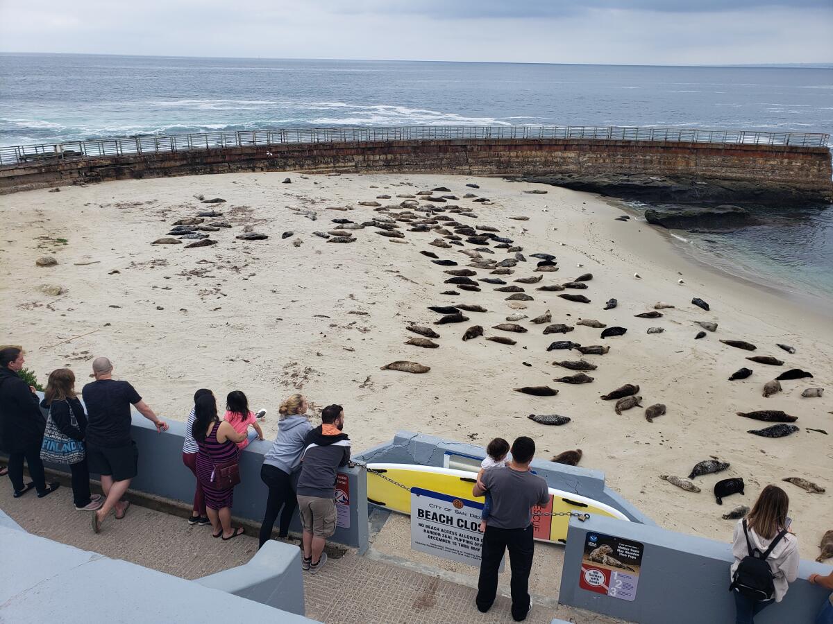 La Jolla's Children's Pool would be part of the La Jolla Park Coastal Historic District.