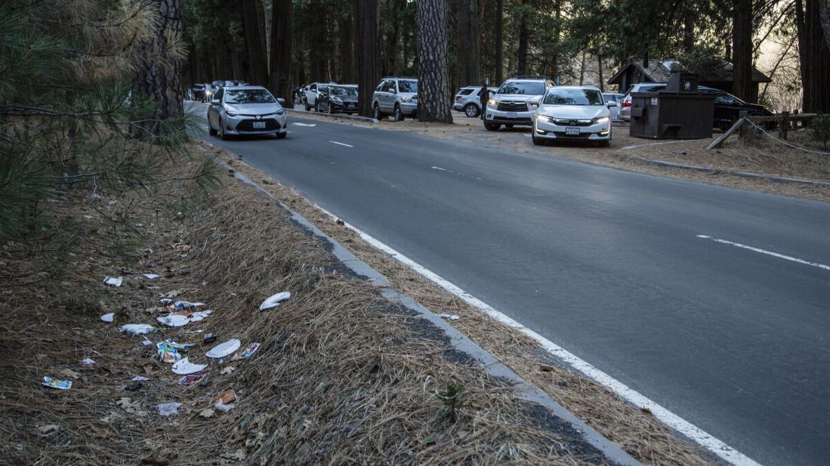 A road lined with trash in Yosemite National Park, Calif. on Dec. 31, 2018.