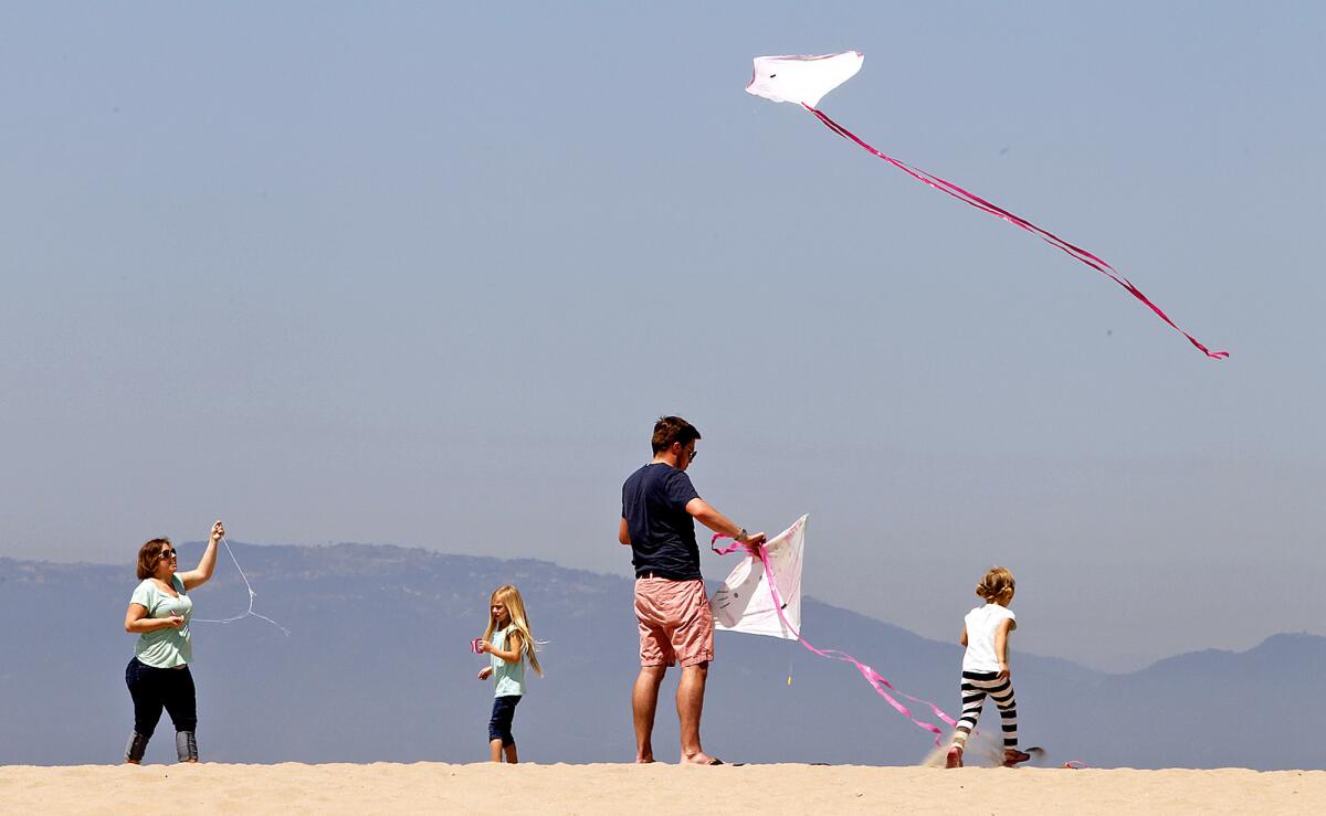 A family flies kites on Manhattan Beach. The city's mayor, Amy Howorth, is leading in fundraising for the 26th Senate District race in the June 3 primary.
