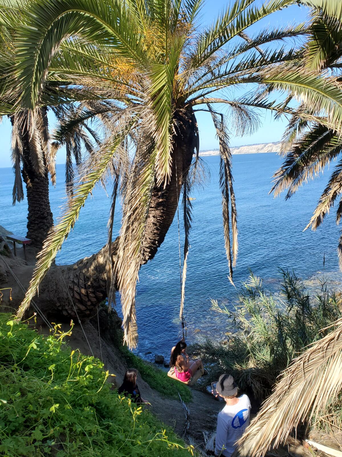 Visitors use the makeshift "secret swing" that is tied to a tree on the bluffs next to Coast Walk Trail in La Jolla.