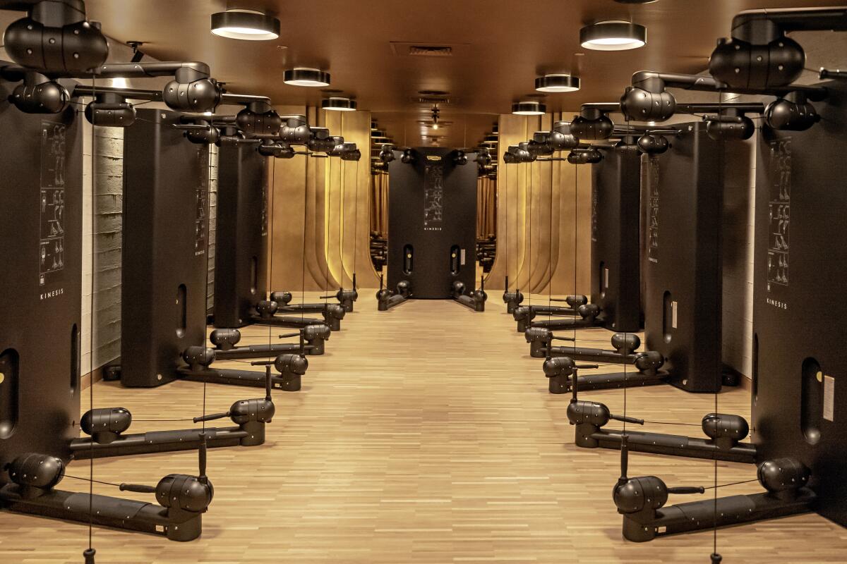 A line of workout machines in a wood-floored room