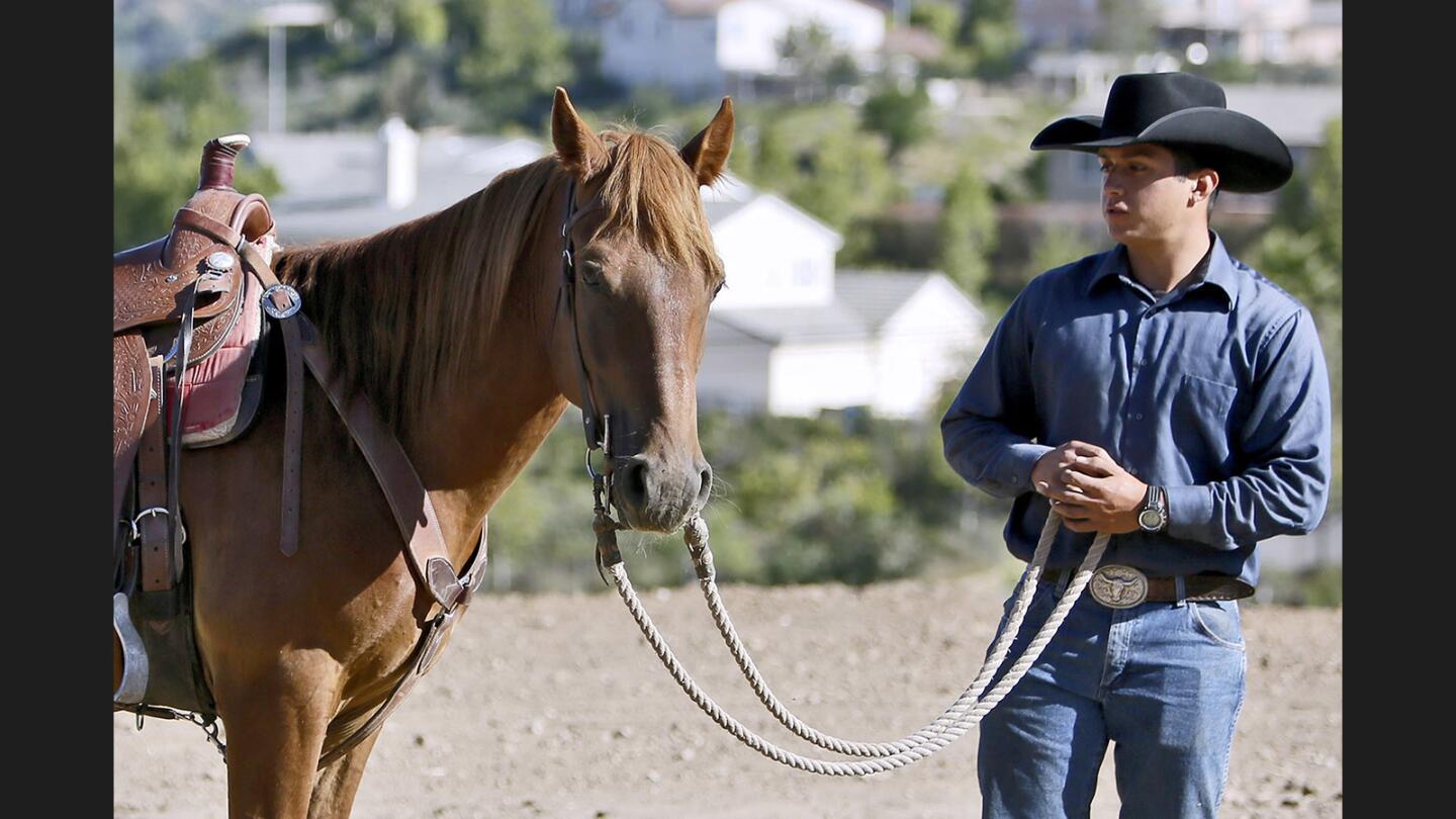 Photo Gallery: Young man is a veteran at training difficult wild Mustangs