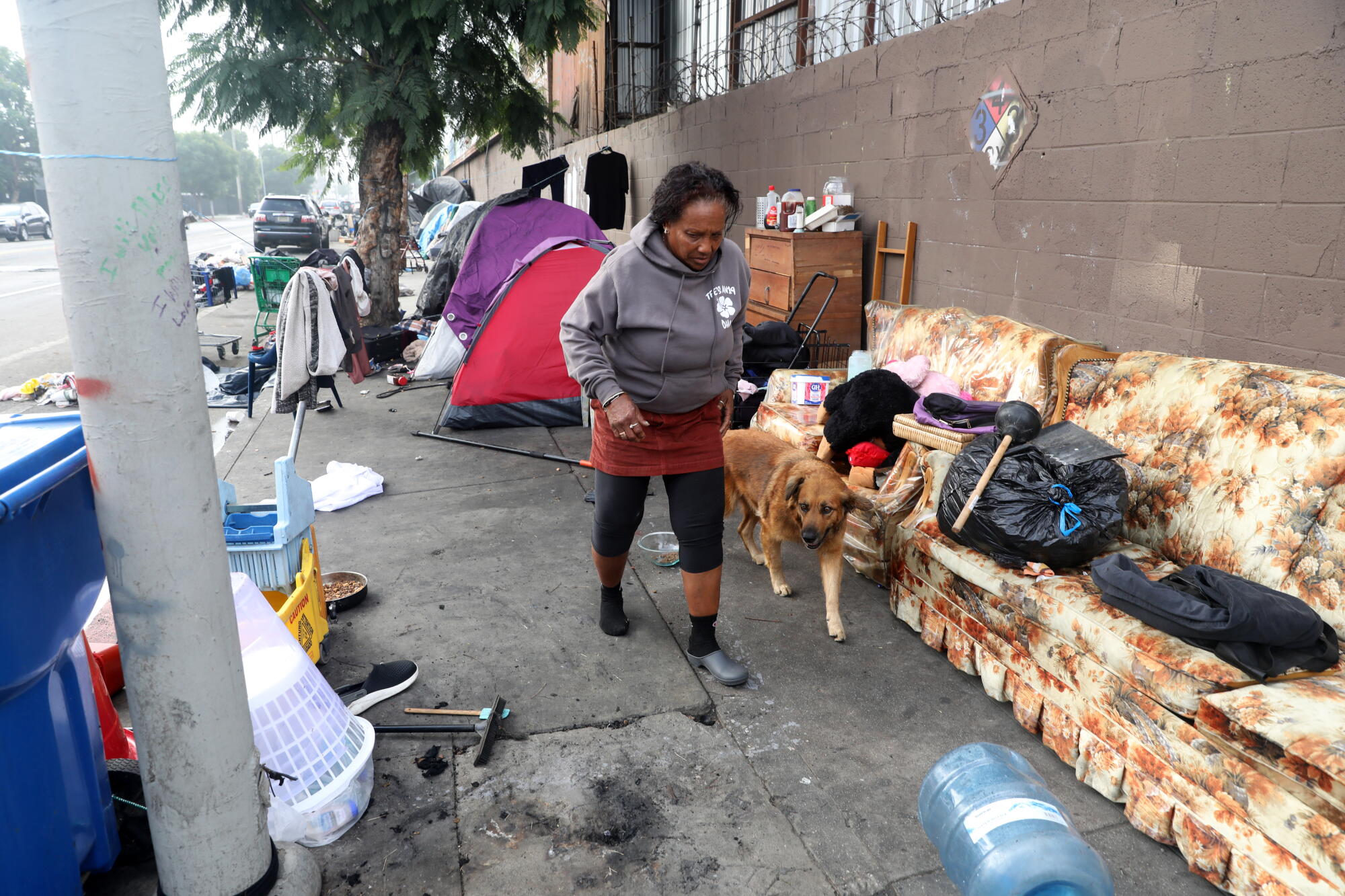 Homeless Spot In L.A. County, many homeless people enter shelters, only to end up ...