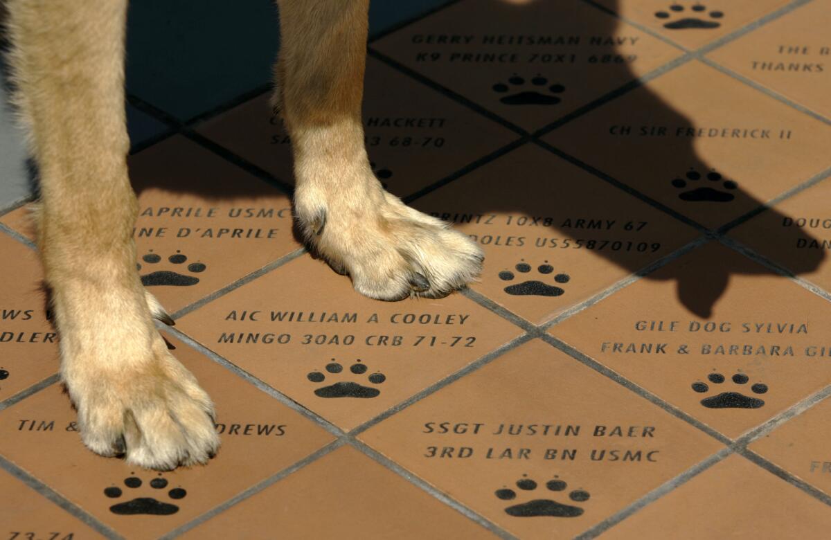 Small tiles carrying war dogs and their handlers name are installed at the foot of War Dog Memorial located in March Field Air Museum.