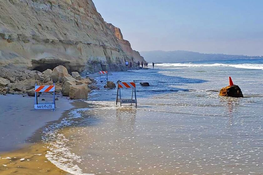 This photo was taken in August 2019 after a bluff collapse at Torrey Pines State Beach.