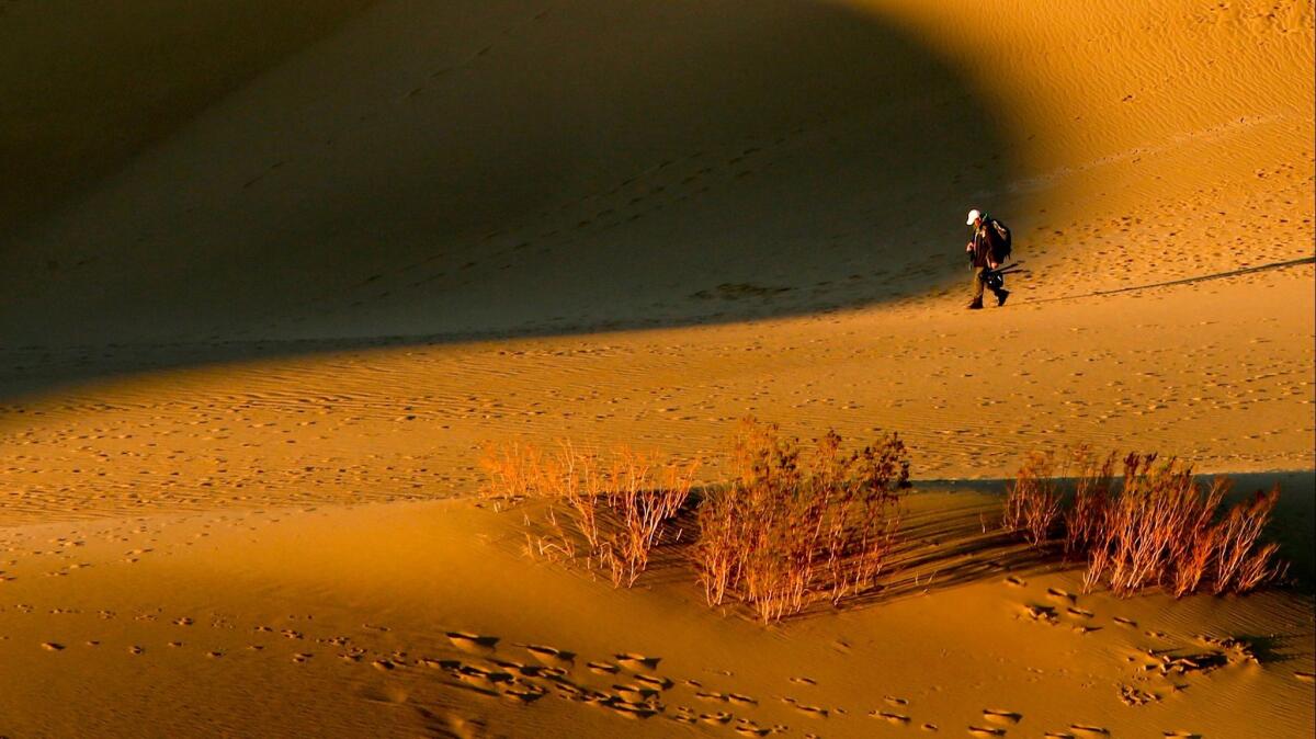 Mesquite Flat Sand Dunes in Death Valley National Park. Temps are expected to reach 128 this week.