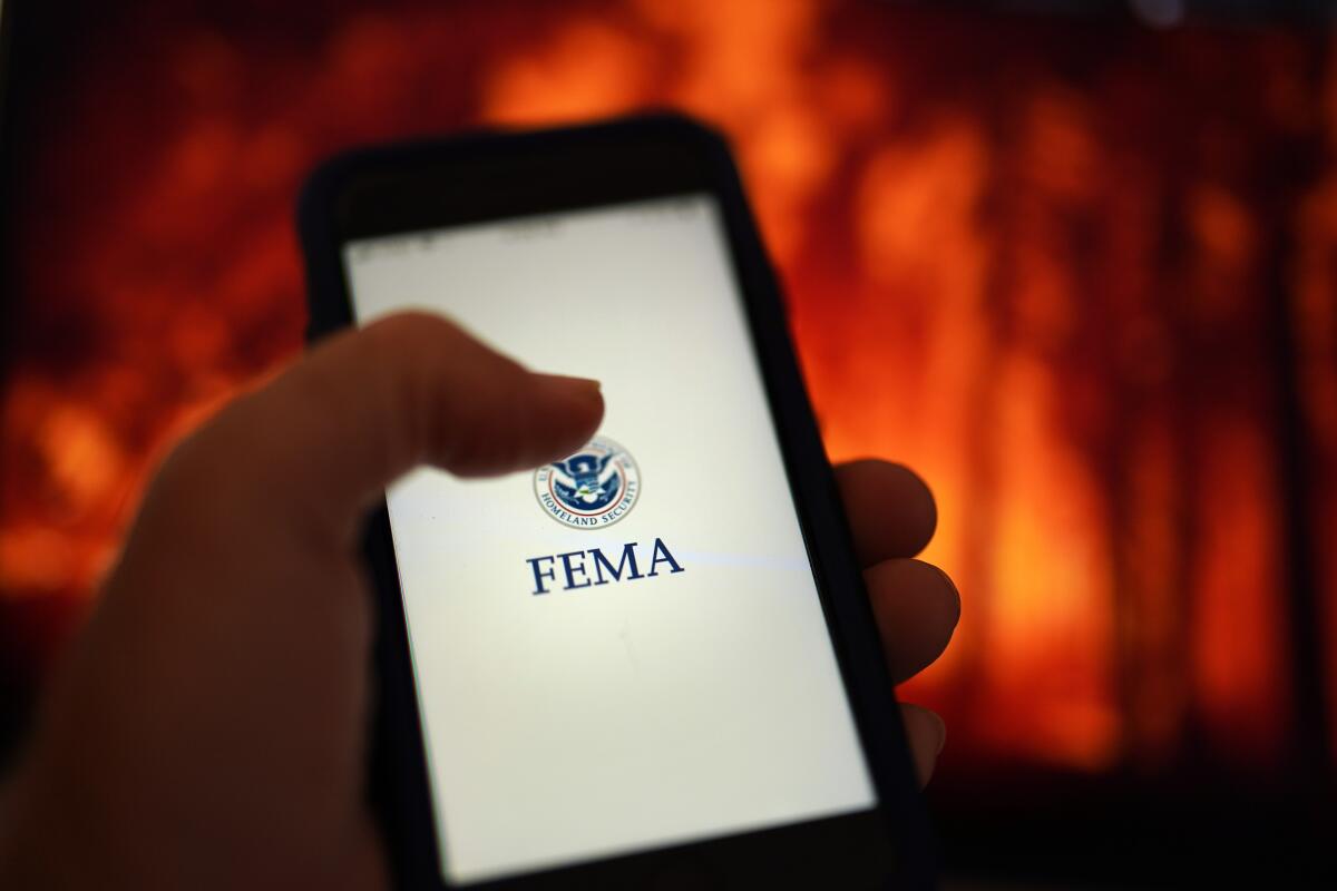 A cellphone loads an app with the FEMA logo, with flames from a wildfire in the background