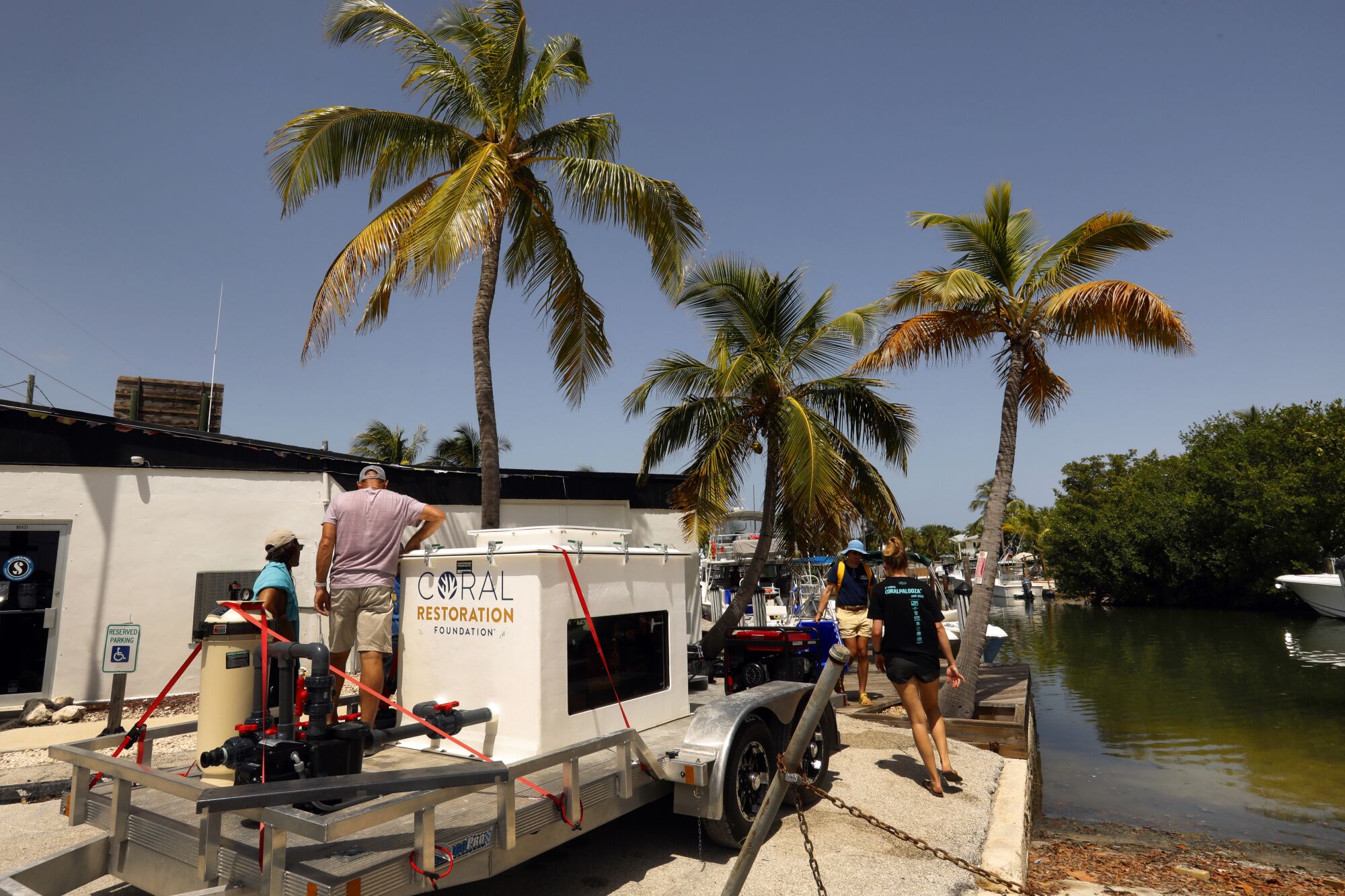 Members of the Coral Restoration Foundation load coral taken from the ocean nursery into the 