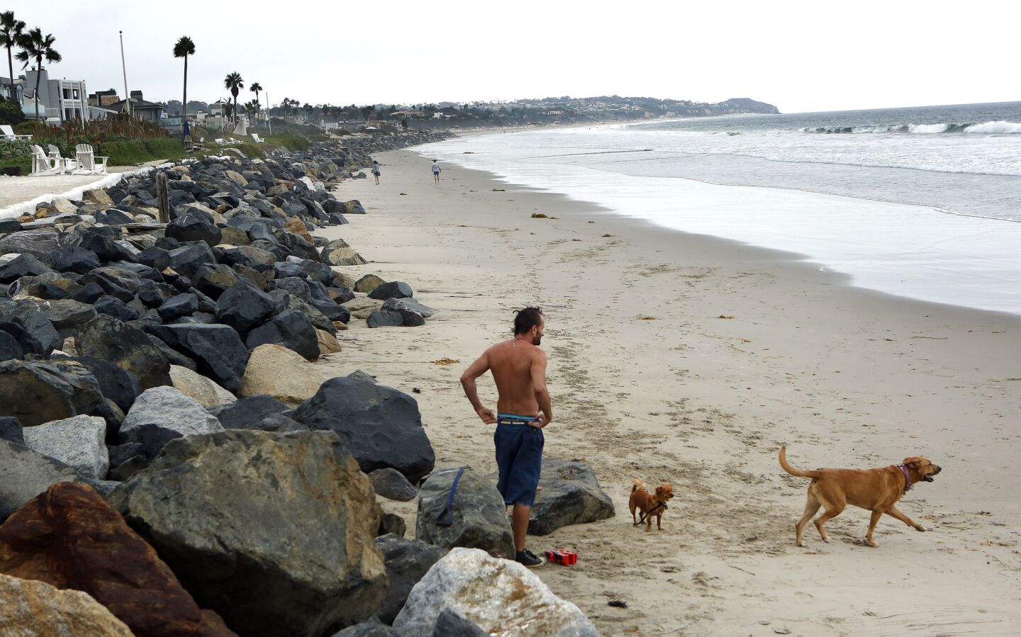 Dog trainer Chris Penketh, 45, of Woodland Hills, visits Broad Beach in Malibu. A sand replenishment project has been approved.