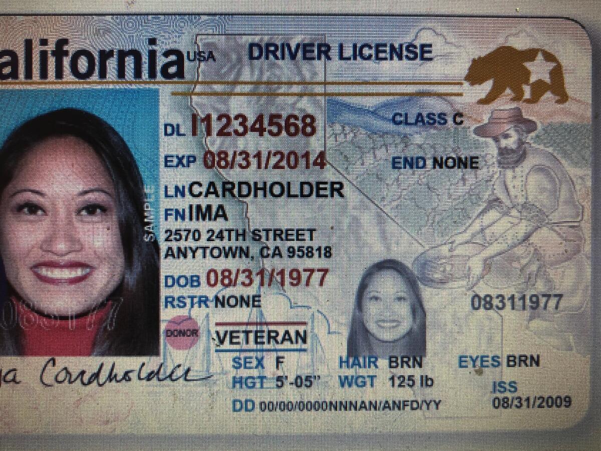A sample Real ID card with a yellow bear figure in the upper right corner