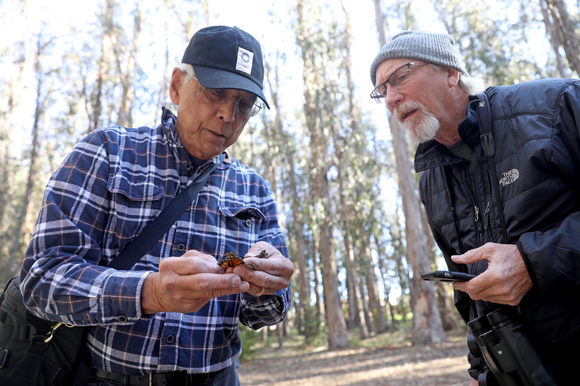 Kingston Leong, left, with enthusiast Cliff Stiffler, examines a monarch butterfly