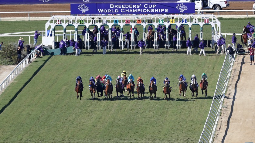 Del Mar cancels Thanksgiving racing; 7 turf stakes set for final two Del Mar cancels Thanksgiving racing; 7 turf stakes set for final two