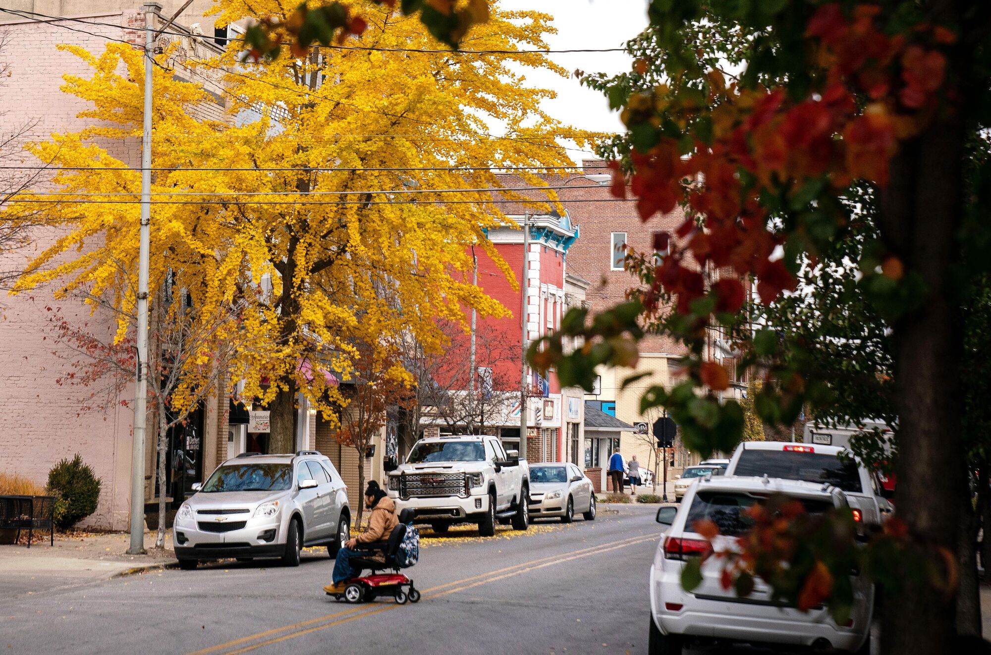 A tree awash with yellow fall foliage near buildings with cars parked along a street 