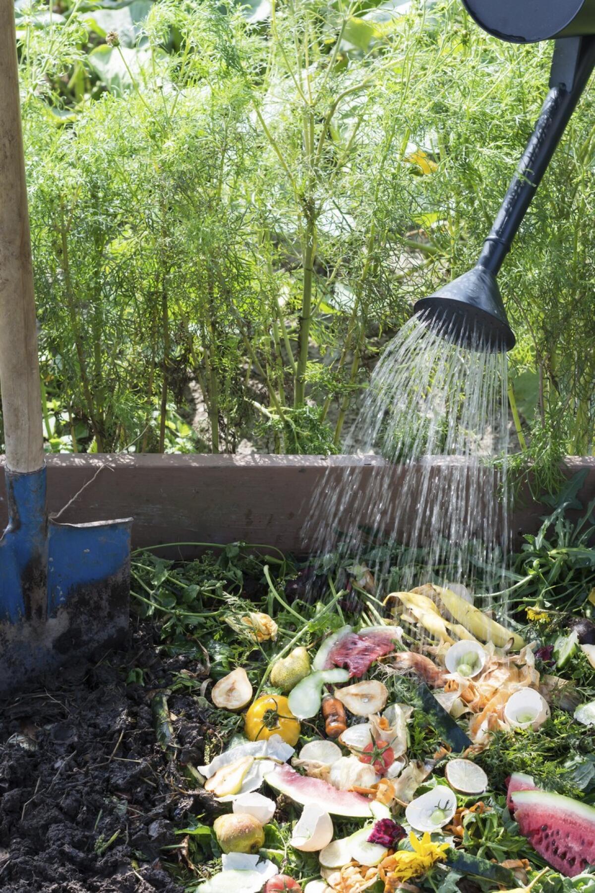 Enhance your garden and cut down on waste with this $300 countertop  composter