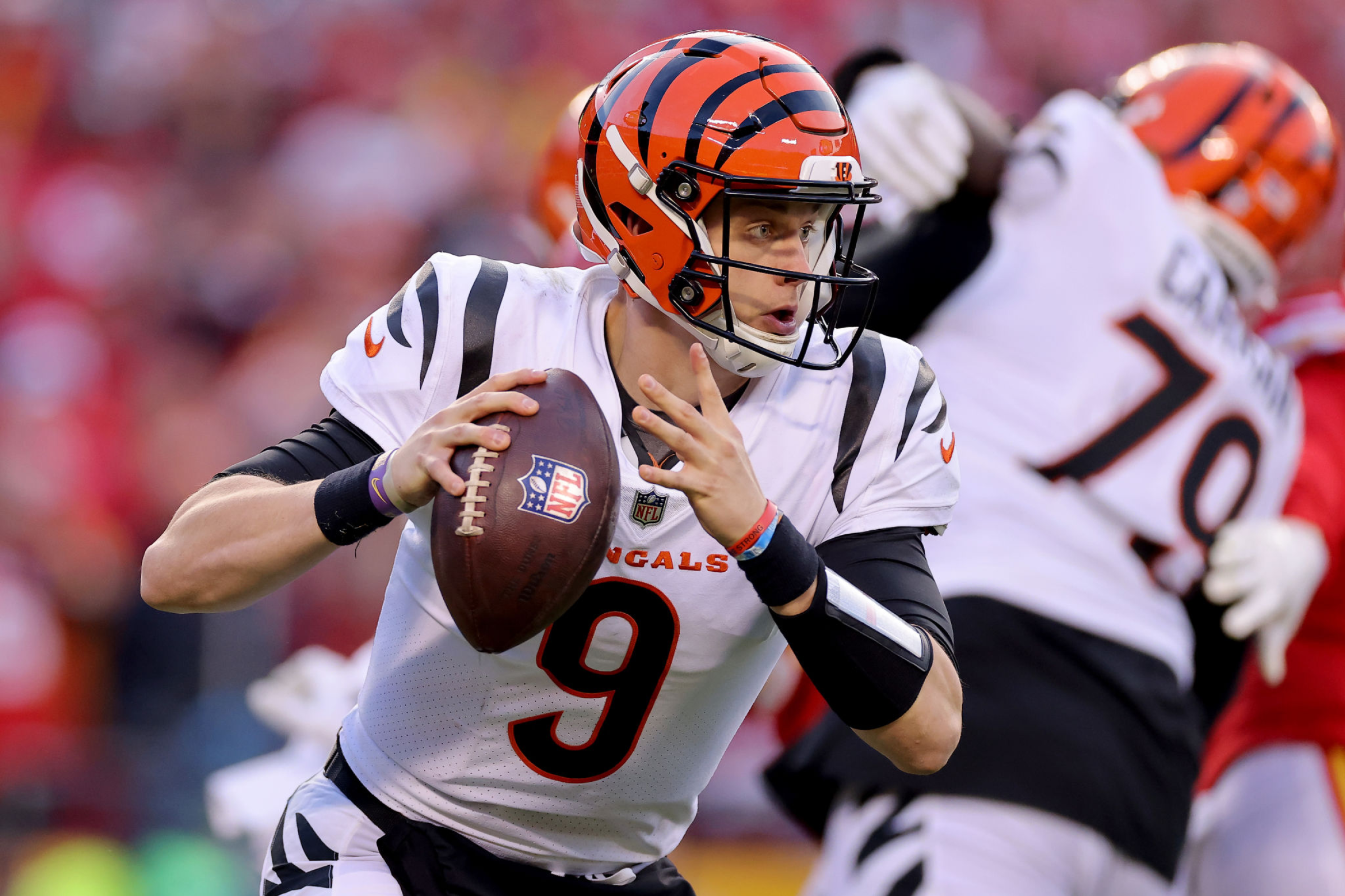 Cincinnati Bengals - Gallery image 3