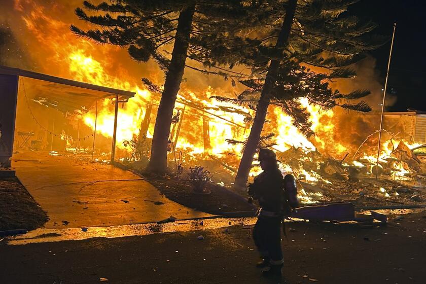 Bomberos combaten el fuego después de que un pequeño aeroplano se estrelló en Florida la tarde del jueves 1 de febrero de 2024. (Rick Renner vía AP)