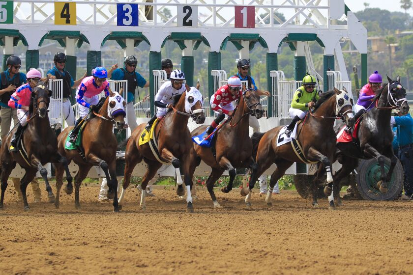 Opening Day at Del Mar racetrack, July 17, put the facility under an increased spotlight after 30 deaths in the last meet at Santa Anita.