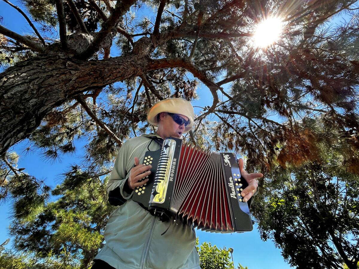 Kevin Cummings plays an accordion and harmonica concert in the shade of an oak tree