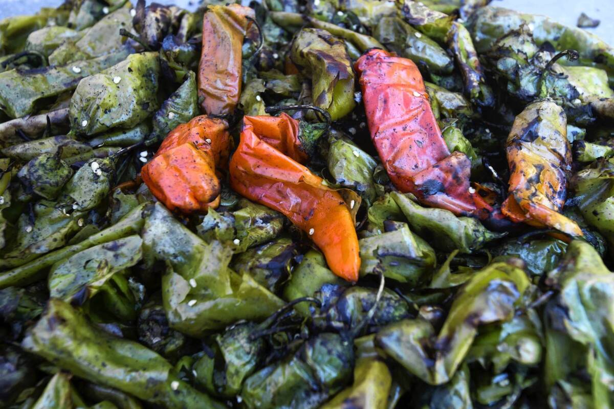 Roasted chiles at the Green Chile Roast & Lunch.