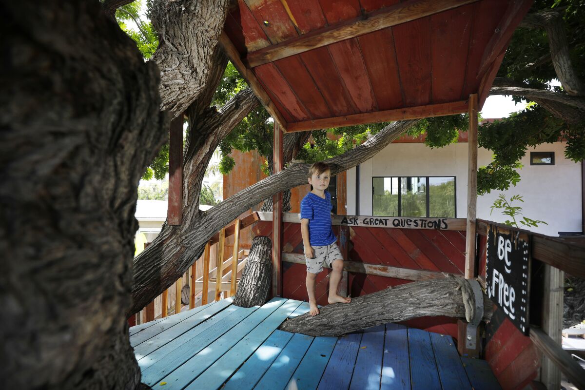 Easton shows off the main level of the treehouse, where the kids use the space to picnic, play games, read or do homework.