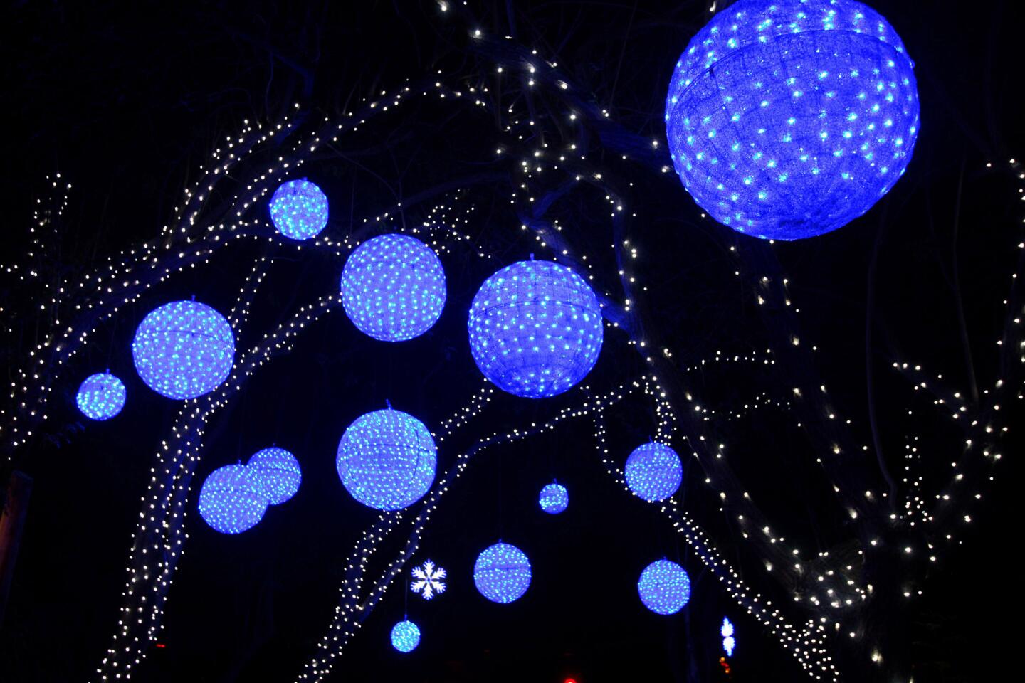 Photo Gallery: L.A. Zoo Lights