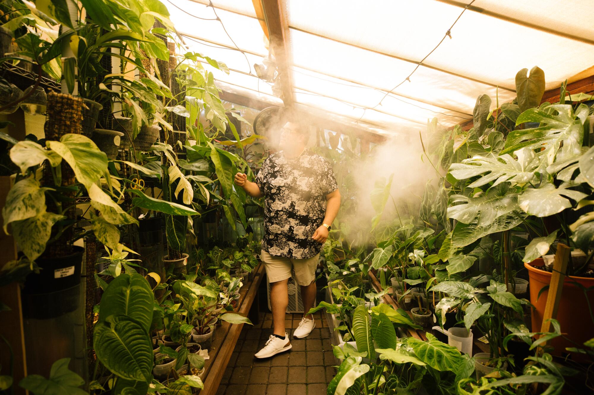 A man, his face obscured by mist, walking down the aisle of a greenhouse.
