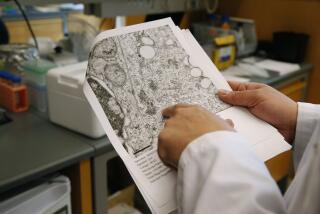 Dr. Charles Chiu reviews microscopic imagery in his lab at the UCSF Mission Bay campus in San Francisco, Calif. on Friday, Feb. 24, 2017. Chiu has published findings on his research about the effects of paralysis in children with the Enterovirus D68 infectious disease. (Photo By Paul Chinn/The San Francisco Chronicle via Getty Images)