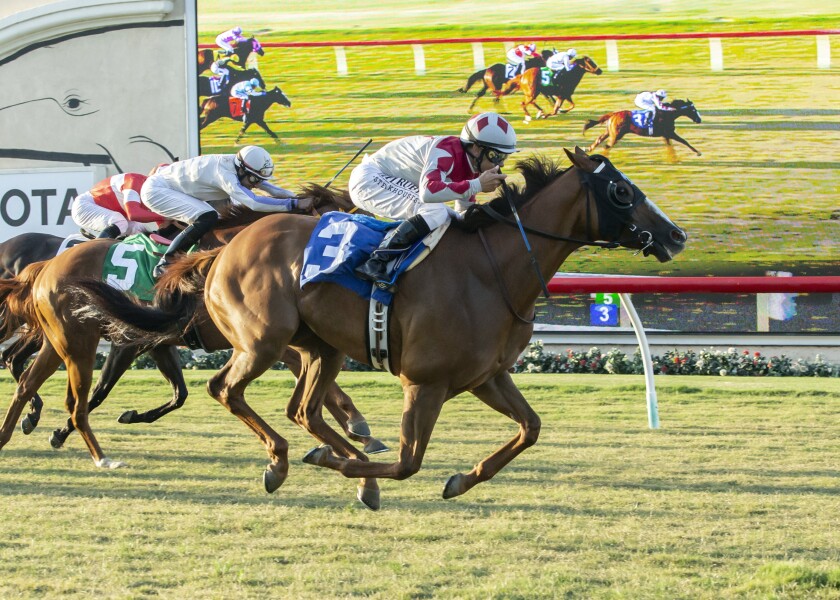 In this image provided by Benoit Photo, Grecian Fire, with Mike Smith aboard, wins the $150,000 California Dreamin' Stakes horse race Friday, July 26, 2019, at Del Mar Thoroughbred Club in Del Mar, Calif. (Benoit Photo via AP)