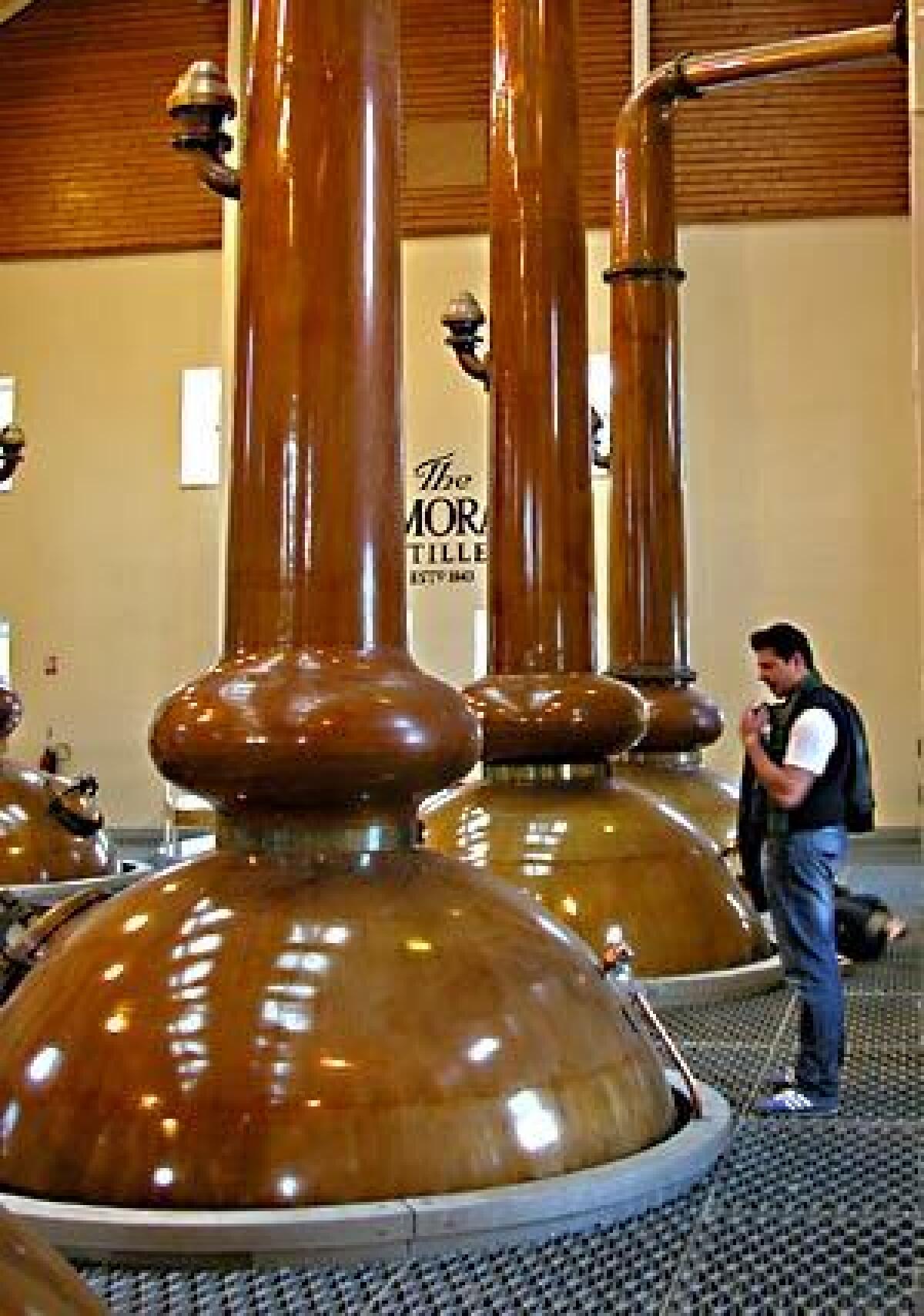 Glenmorangie Distillery has the tallest malt whiskey stills in Scotland.