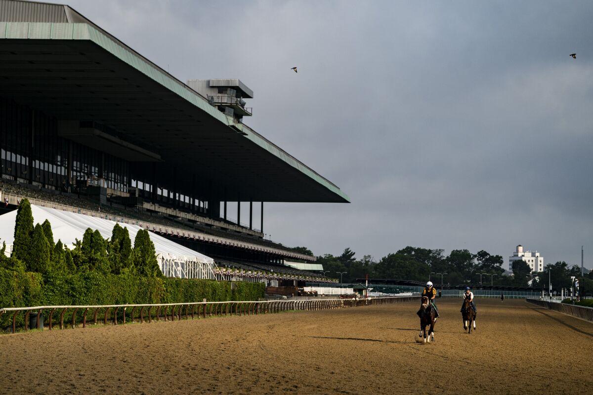 Horses train at daybreak before the 154th running of the Belmont Stakes horse race, Wednesday, June 8, 2022, in Elmont, N.Y. (AP Photo/John Minchillo)