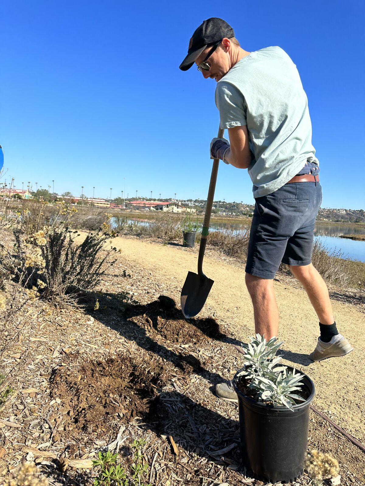 Wildcoast brought together several local organizations and volunteers to help restore blue carbon at River Path Del Mar.