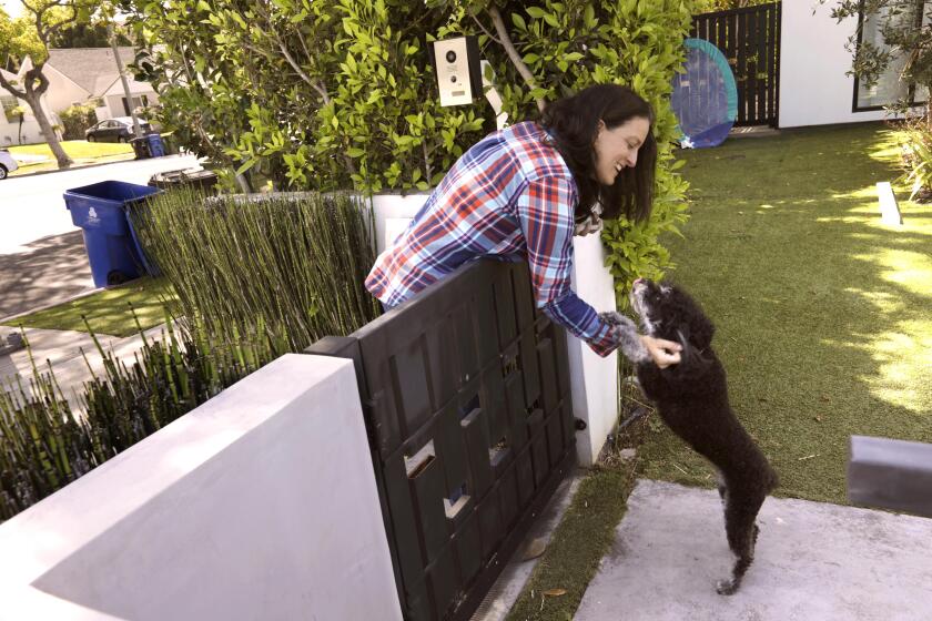 LOS ANGELES, CA - MAY 6, 2022 - - Katy Young Yaroslavsky, who is running to replace Los Angeles City Councilman Paul Koretz in the June 7 election, greets a dog at the gate of his home while canvasing the Beverlywood neighborhood in Los Angeles on May 6, 2022. She was inviting residents in the area to attend a meet and greet with her on Monday, May 9. As an attorney she helped coordinate voter access and election integrity efforts in Los Angeles County for the 2008 presidential election and worked to successfully secure asylum for a domestic violence survivor seeking relief from religious persecution. From 2015-2018, she developed, negotiated, and steered L.A. Board of Supervisors into adopting Measure W: The Safe, Clean Water Program, which LA County voters adopted in November 2018 with nearly 70% of the vote. Measure W provides a yearly $300 million ongoing revenue stream for clean, local water supplies, more parks, thousands of good-paying local jobs, and healthier communities for generations to come. She is the daughter-in-law of former L.A. Supervisor Zev Yaroslavsky. (Genaro Molina / Los Angeles Times)