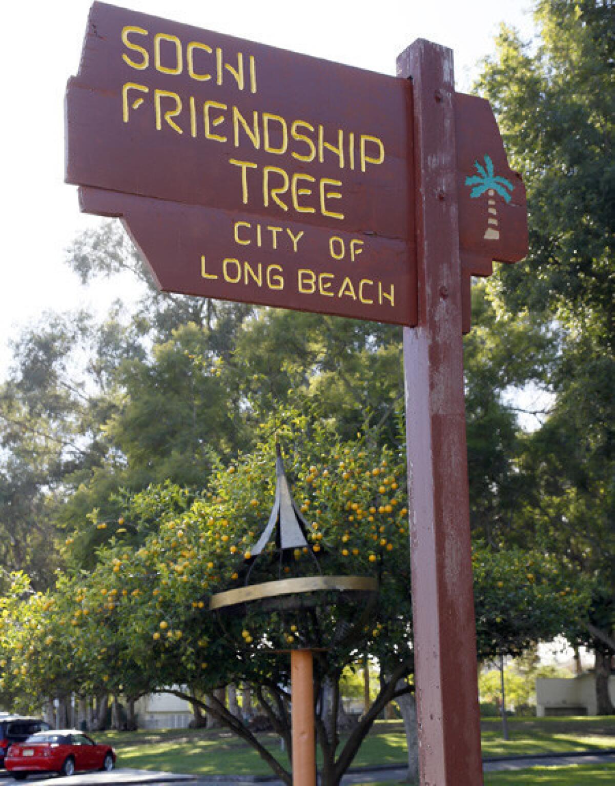 The Sochi Friendship Tree resides in Long Beach's Recreation Park. The metal object by the lemon tree is a peach pole.